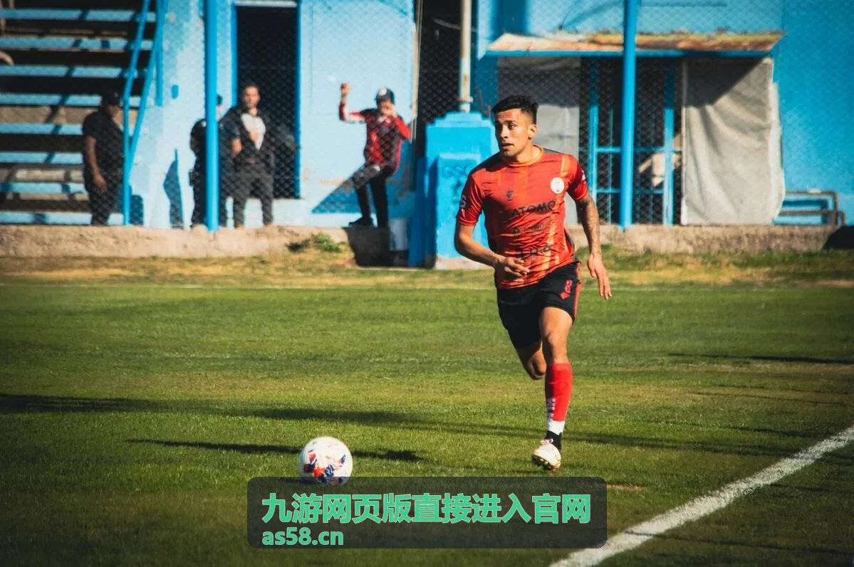 九游网页版登录入口的账号填写与验证示意